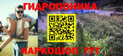 трава Бердск