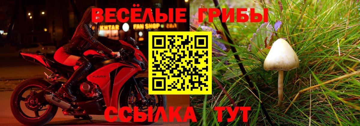 Осинники  Псилоцибиновые грибы мицелий  Вход с VPN 