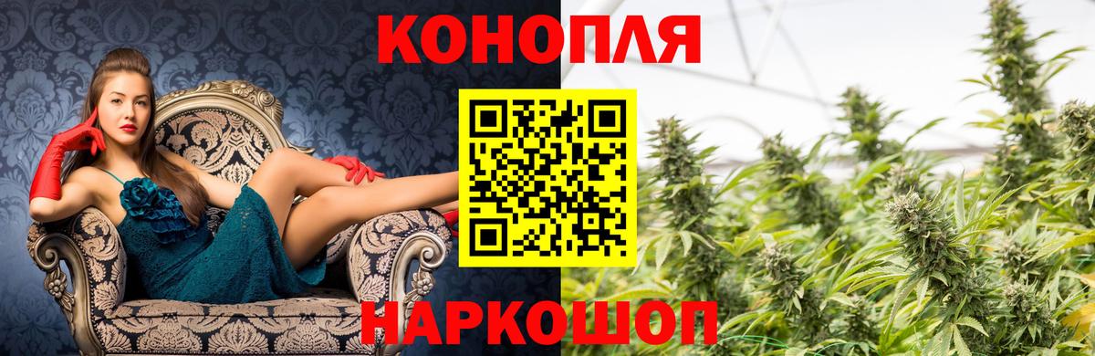 Бошки марихуана Bruce Banner  Вход с VPN  Бошки Шишки Bruce Banner  Бошки марихуана White Widow  Осинники 